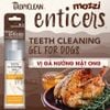 Gel vệ sinh răng miệng Tropiclean Enticers cho chó mèo
