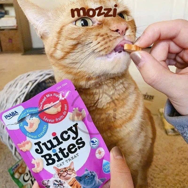 Snack cho mèo Viên mềm Juicy Bites Inaba