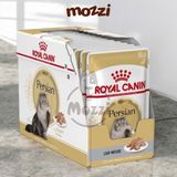  Pate Royal Canin cho mèo Anh lông ngắn British và Ba Tư Persian 
