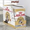Pate Royal Canin cho mèo Anh lông ngắn British và Ba Tư Persian