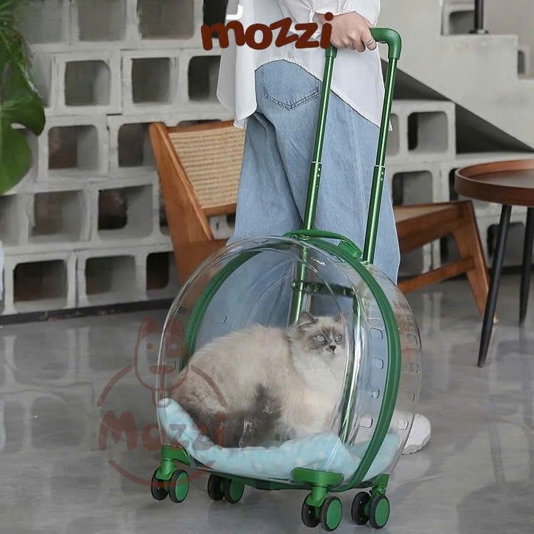 Vali kéo đựng chó mèo trong suốt lớn hình oval