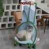 Vali kéo đựng chó mèo trong suốt lớn hình oval
