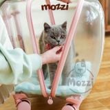  Vali kéo đựng chó mèo trong suốt lớn hình chữ nhật 45x33x46cm 