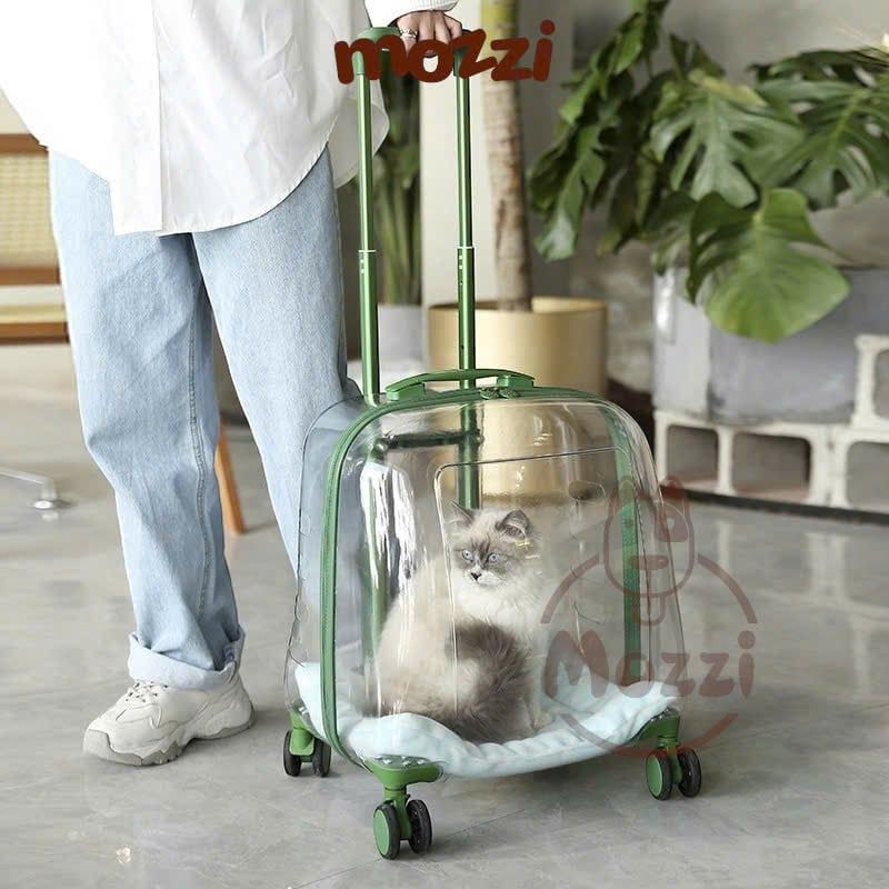 Vali kéo đựng chó mèo trong suốt lớn hình chữ nhật 45x33x46cm