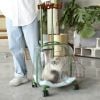 Vali kéo đựng chó mèo trong suốt lớn hình chữ nhật 45x33x46cm
