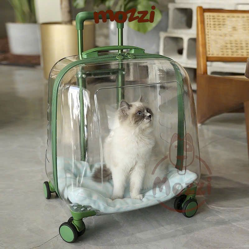Vali kéo đựng chó mèo trong suốt lớn hình chữ nhật 45x33x46cm
