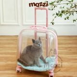  Vali kéo đựng chó mèo trong suốt lớn hình chữ nhật 45x33x46cm 