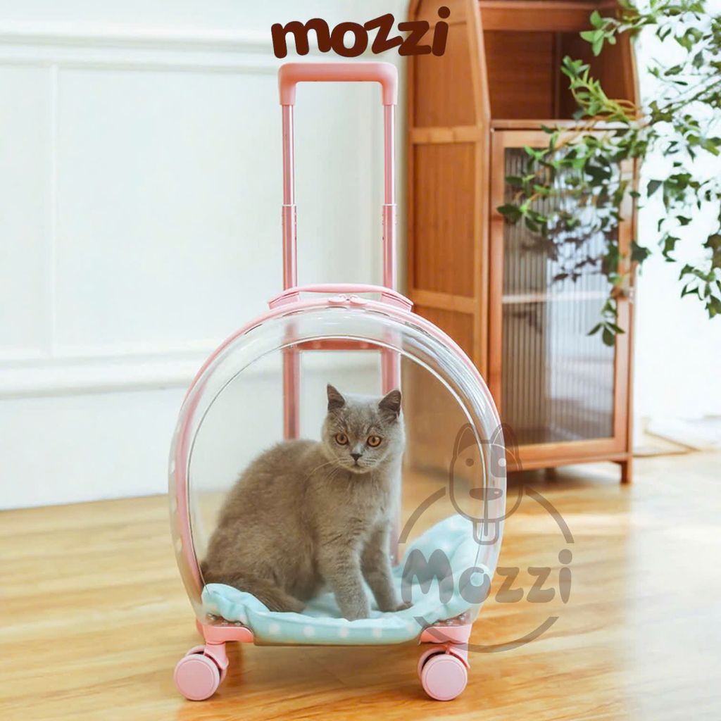 Vali kéo đựng chó mèo trong suốt lớn hình oval