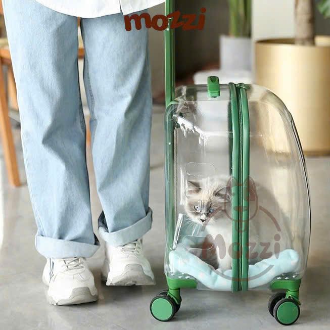 Vali kéo đựng chó mèo trong suốt lớn hình chữ nhật 45x33x46cm