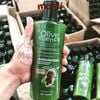 Sữa tắm cho chó mèo Olive Essence 450ml