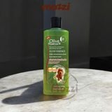  Sữa tắm cho chó mèo Olive Essence 450ml 