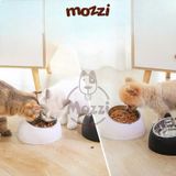  Chén bát ăn cho chó mèo đế nhựa cao có chén inox chống gù 