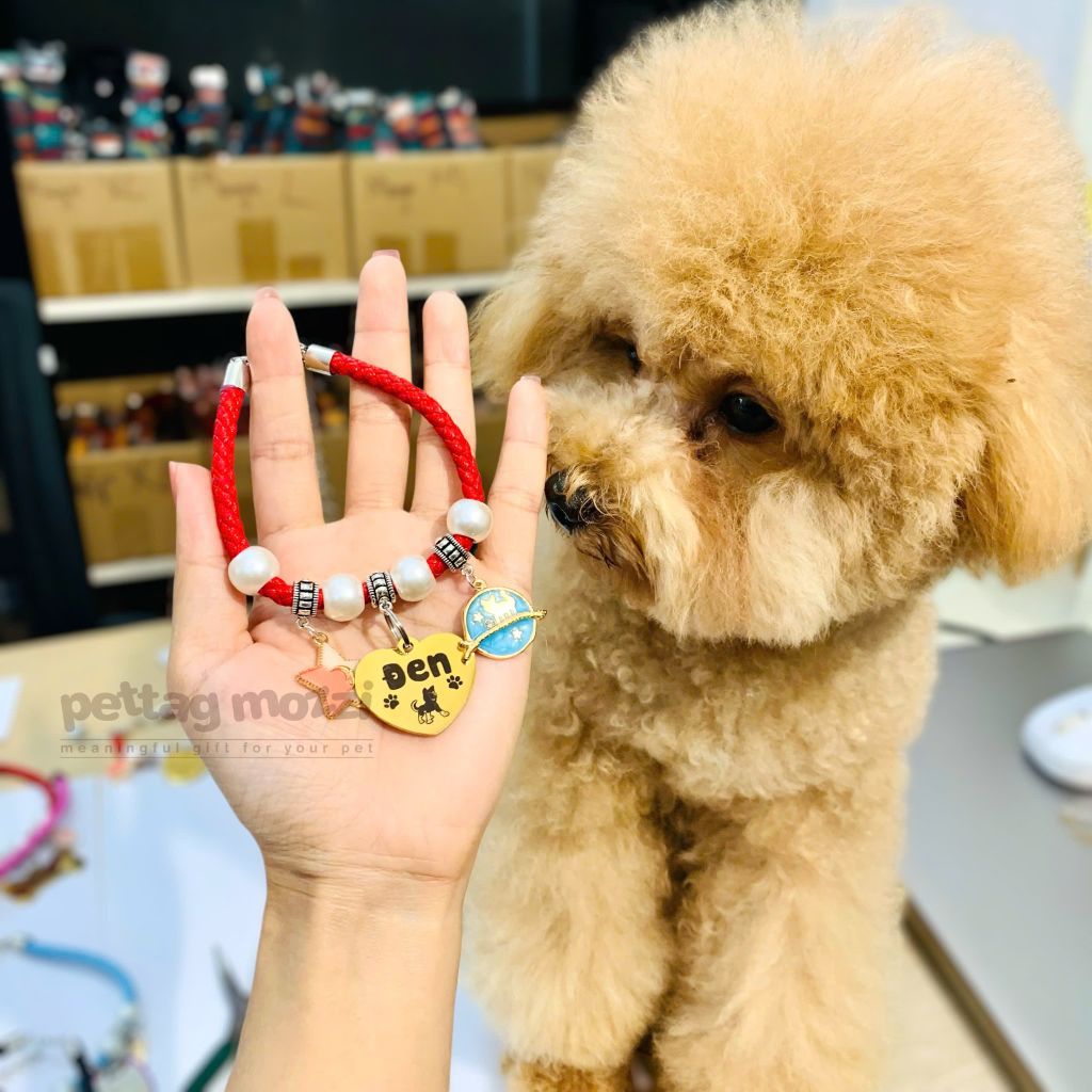 Combo Thẻ tên và Dây charm mix ngẫu nhiên cho chó mèo - Pettag Mozzi