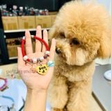  Combo Thẻ tên và Dây charm mix ngẫu nhiên cho chó mèo - Pettag Mozzi 