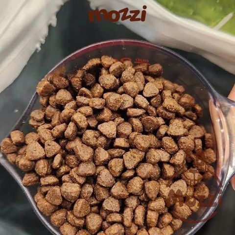  [Chiết 1kg - seal 10kg] Thức ăn hạt N&D Farmina Adult cho mèo trưởng thành 