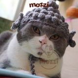  Nón len hình thú dễ thương cho chó mèo 