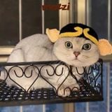  Nón len hình thú dễ thương cho chó mèo 