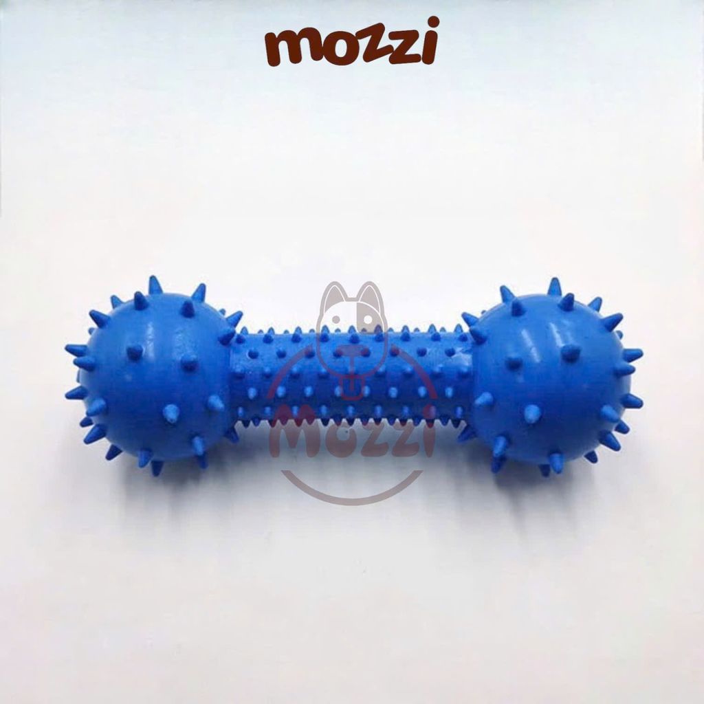 Đồ chơi xương gai gặm sạch răng có chuông cho chó