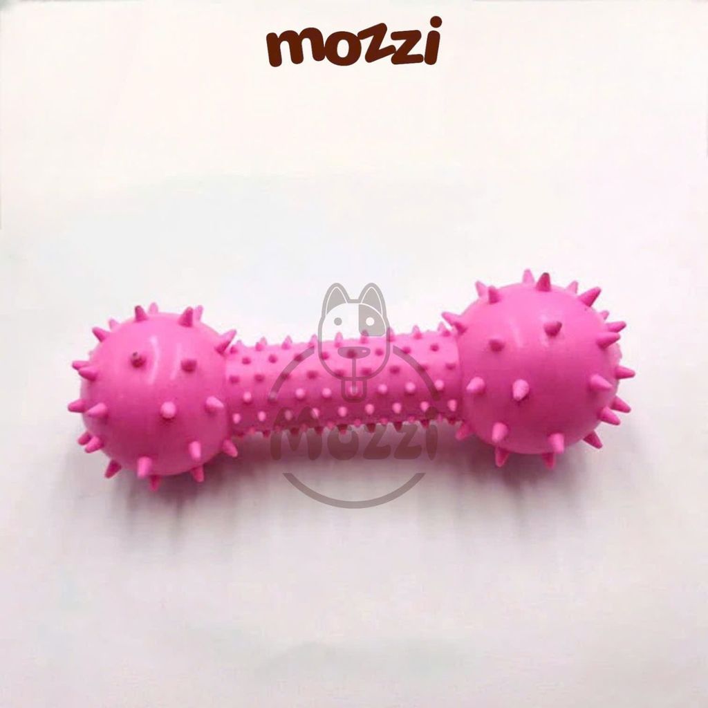 Đồ chơi xương gai gặm sạch răng có chuông cho chó