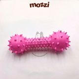  Đồ chơi xương gai gặm sạch răng có chuông cho chó 