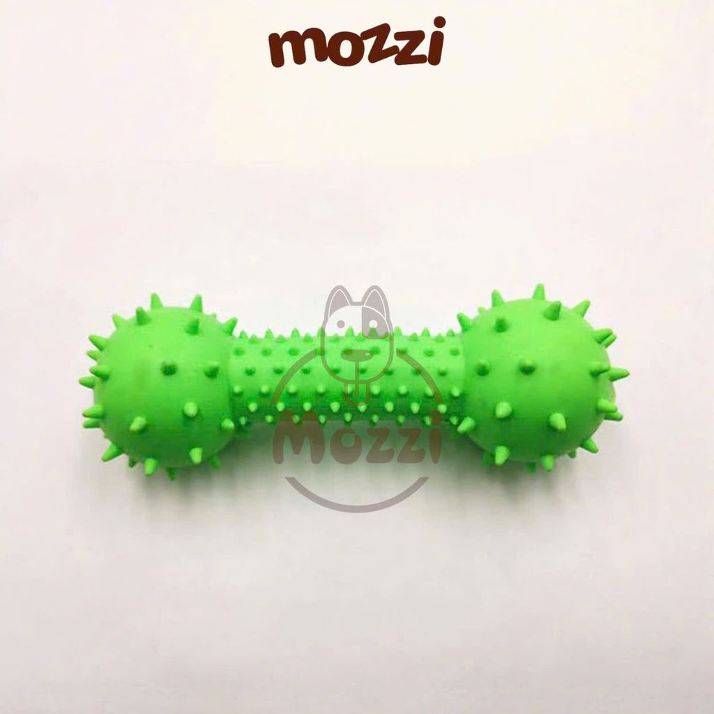 Đồ chơi xương gai gặm sạch răng có chuông cho chó