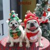 Bộ Nón và Yếm cổ Noel hình nổi cho chó mèo