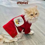  Áo dài Tết Đông Hồ cho chó mèo 