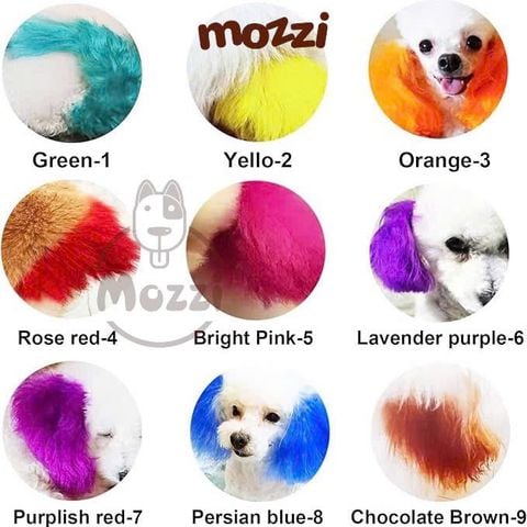  Màu nhuộm Toby tạo kiểu lông an toàn cho chó mèo 