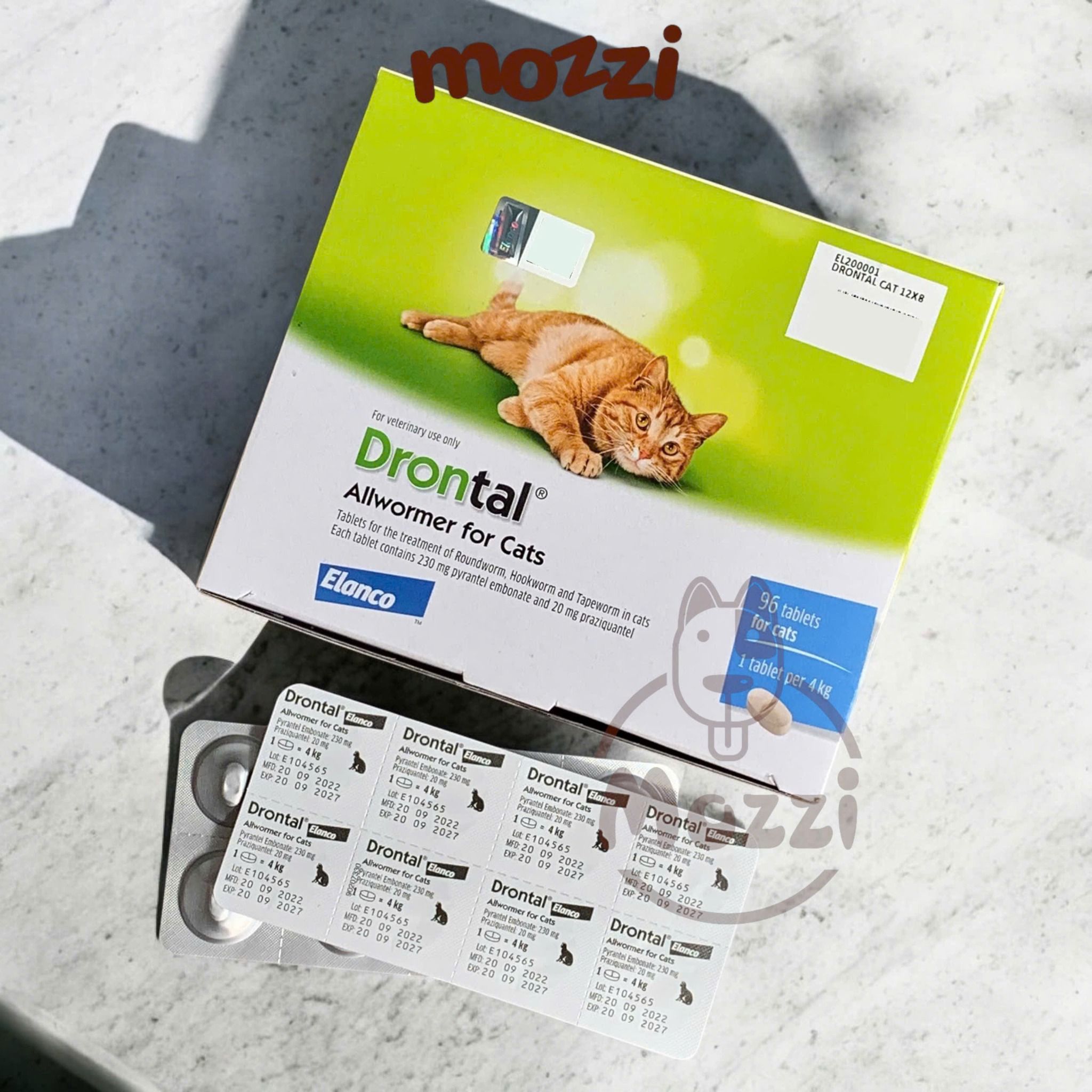 Yashirin kamera onanizm qolga