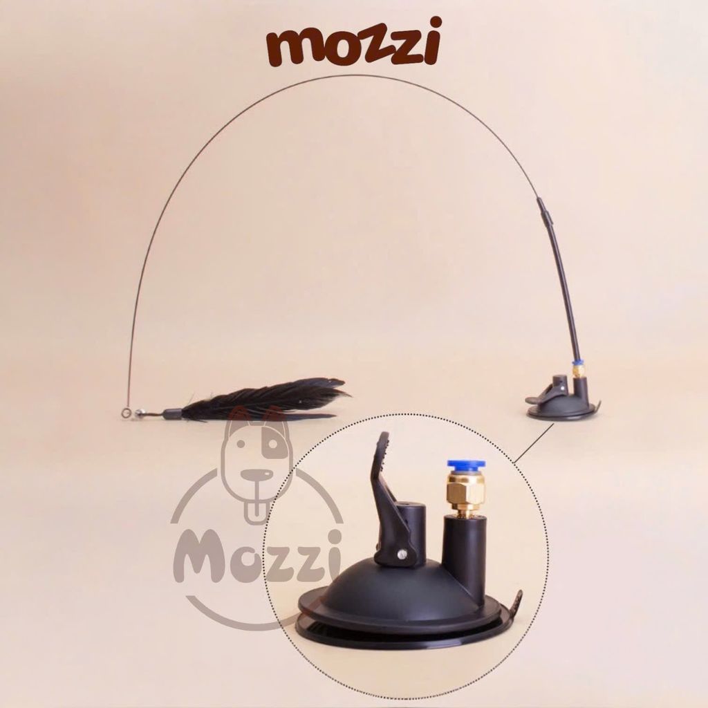 Đồ chơi Cần câu mèo hút dán sàn cho mèo tự chơi