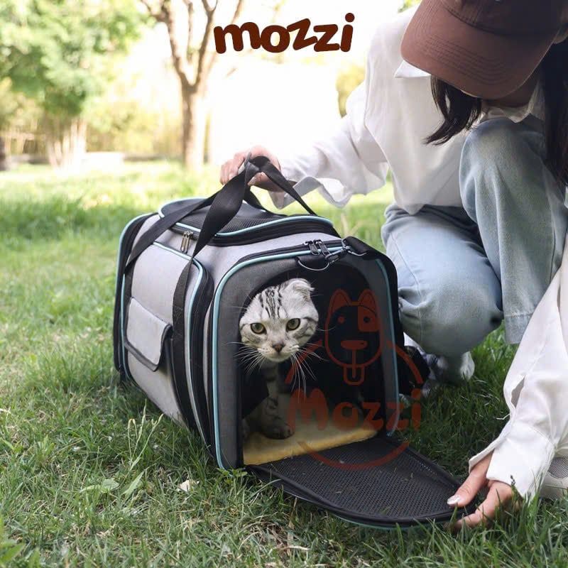 Balo Túi đựng chó mèo viền màu có khoang mở