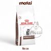 [400g - 2kg] Thức ăn hạt Royal Canin Gastrointestinal Hỗ trợ tiêu hoá cho mèo lớn và mèo con
