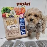  Thức ăn hạt hữu cơ ANF Dog 6Free cho chó [200g - 2kg - 6kg] 