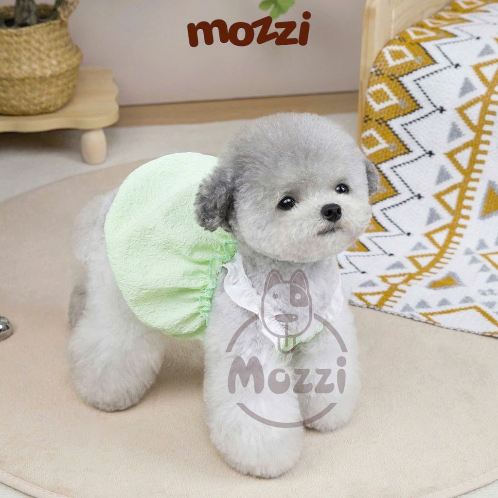 Áo hai dây dáng bí phồng chun ngực