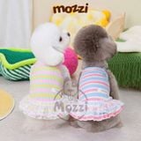  Đầm hai dây thun gân sọc ngang chân ren MuZePet 