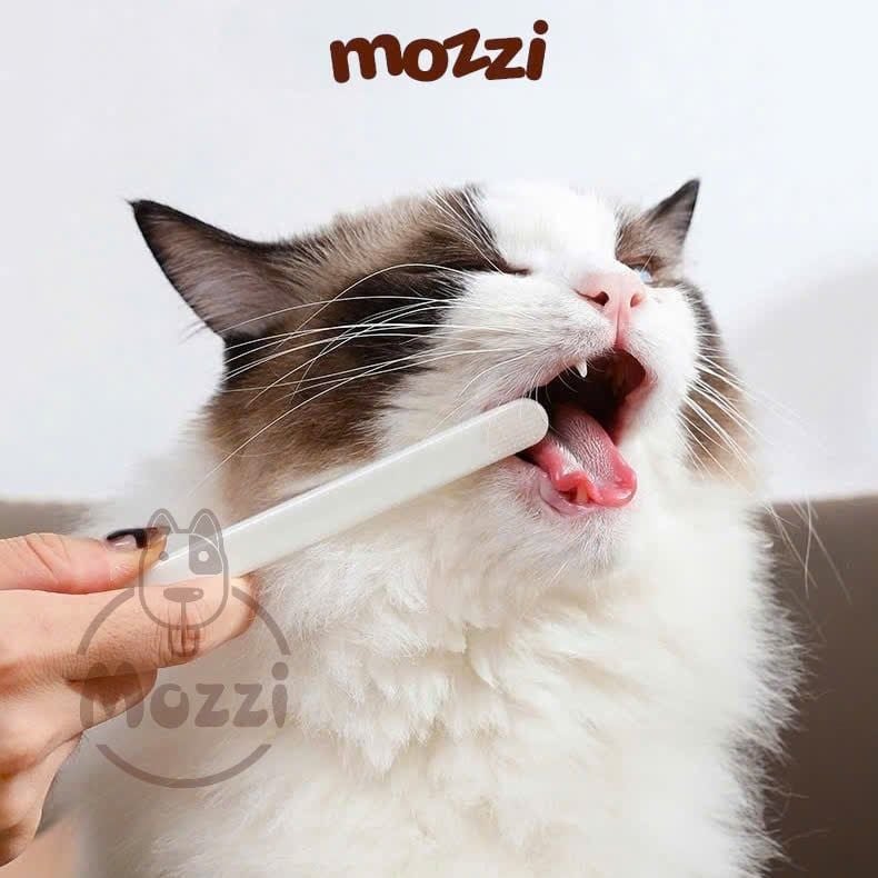 Bàn chải đánh răng Kimpets kèm hộp đựng bảo quản cho chó mèo