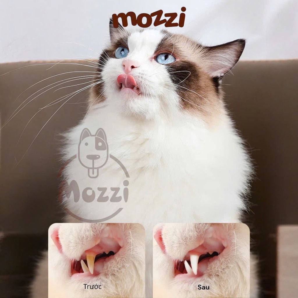 Bàn chải đánh răng Kimpets kèm hộp đựng bảo quản cho chó mèo