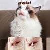 Bàn chải đánh răng Kimpets kèm hộp đựng bảo quản cho chó mèo