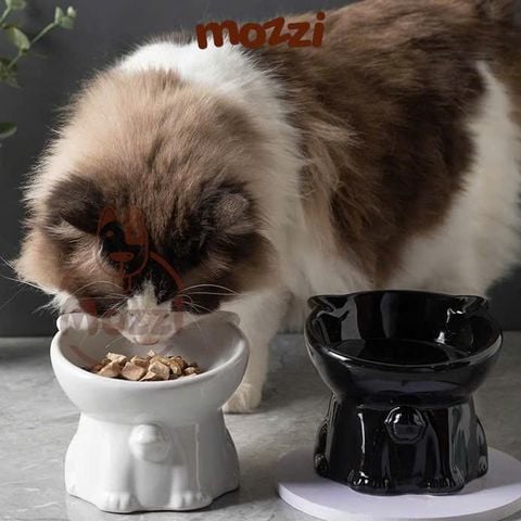  Chén sứ chống gù hình mèo màu trơn 