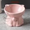 Chén sứ chống gù hình mèo màu trơn
