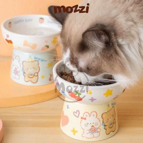  Chén sứ chống gù họa tiết dễ thương 