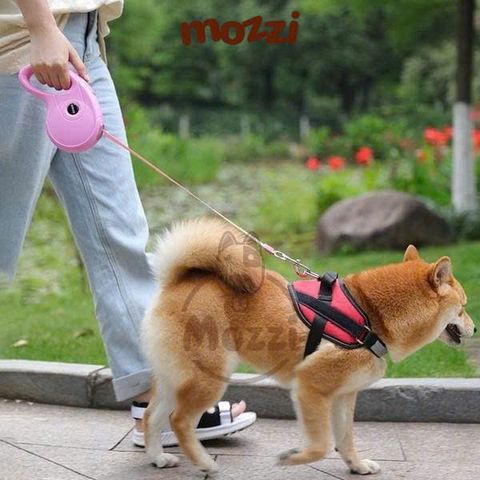  Dây dắt kéo tự động Diil 3m 5m cho chó mèo 