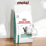  [1.5kg] Thức ăn hạt Royal Canin Diabetic cho mèo bị tiểu đường 