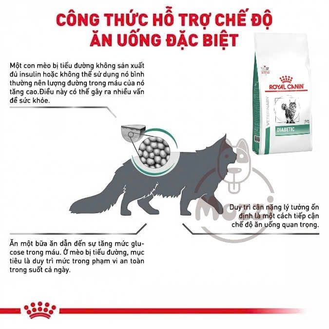[1.5kg] Thức ăn hạt Royal Canin Diabetic cho mèo bị tiểu đường