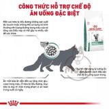  [1.5kg] Thức ăn hạt Royal Canin Diabetic cho mèo bị tiểu đường 