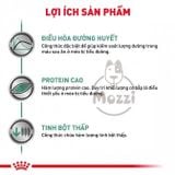  [1.5kg] Thức ăn hạt Royal Canin Diabetic cho mèo bị tiểu đường 