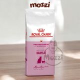  Thức ăn hạt Royal Canin Mother & Babycat cho mèo mẹ và mèo con dưới 4 tháng tuổi [400gr - 2kg - 4kg - 10kg] 