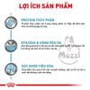 [2.5kg] Thức ăn hạt Royal Canin Hypoallergenic cho mèo bị dị ứng