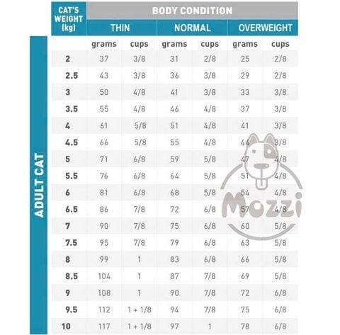  [2.5kg] Thức ăn hạt Royal Canin Hypoallergenic cho mèo bị dị ứng 