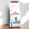 [2.5kg] Thức ăn hạt Royal Canin Hypoallergenic cho mèo bị dị ứng